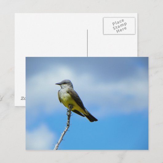 King Bird Postkarte (Vorne/Hinten)