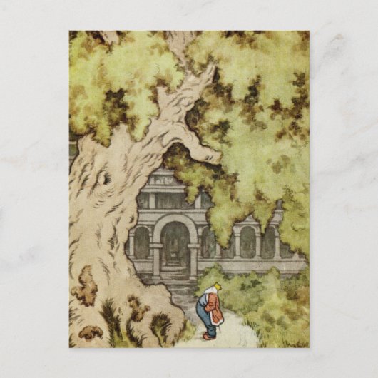 King blickt in den Riesenbaum Postkarte (Vorderseite)