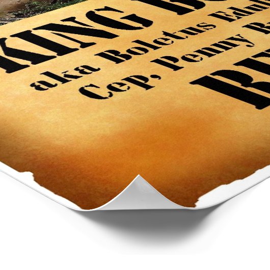 King Bolete - Gewollt Tote oder Lebende Poster (Ecke)