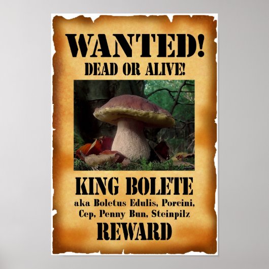 King Bolete - Gewollt Tote oder Lebende Poster (Vorne)