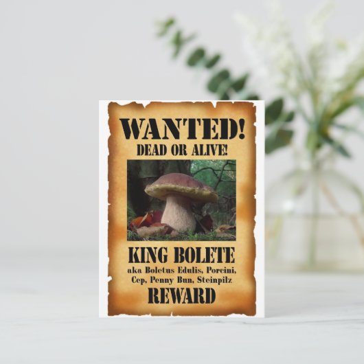 King Bolete - Gewollt Tote oder Lebende Postkarte (Stehend Vorderseite)