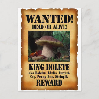 King Bolete - Gewollt Tote oder Lebende Postkarte