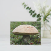 King Boletus Mushroom auf der Insel Unalaska Postkarte (Stehend Vorderseite)