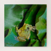King Bullfrog Puzzle (Horizontal)