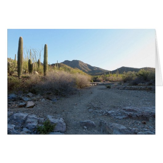 King Canyon Trail I (Vorderseite (Horizontal))