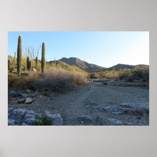 King Canyon Trail I Poster (Vorne)