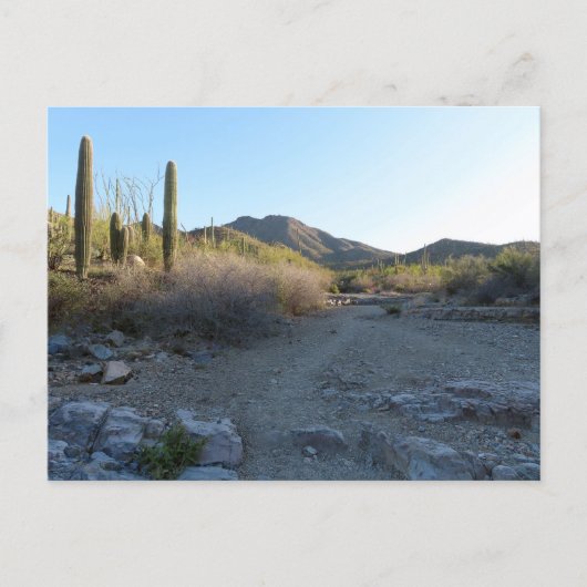 King Canyon Trail I Postkarte (Vorderseite)