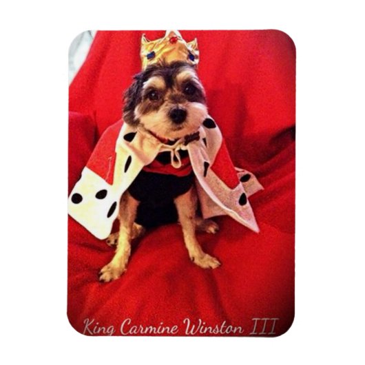 King Carmine Winston III Foto Magnet (Vertikal)