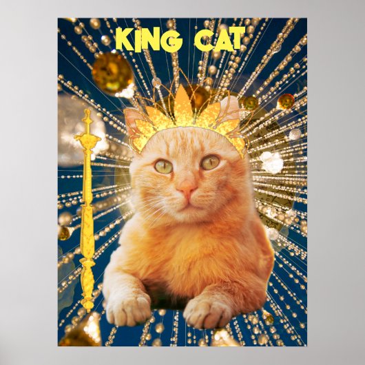 King Cat Funny Poster Pet Vets & Animal Groomer (Vorne)