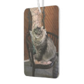 King Cat Kimber Car Air Freshener Autolufterfrischer (Links)