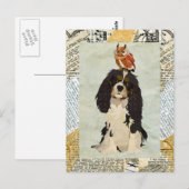 King Cavalier & Owl Postcard Postkarte (Vorne/Hinten)