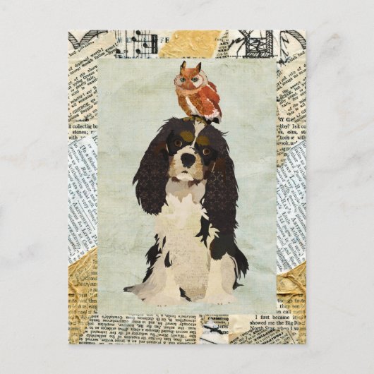 King Cavalier & Owl Postcard Postkarte (Vorderseite)