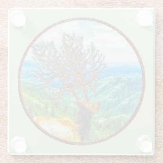 King Cervus Glasuntersetzer (Rückseite)