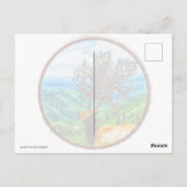 King Cervus Postkarte (Rückseite)