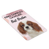 King Charles Cavalier Best Brother Magnet (Rechte Seite)