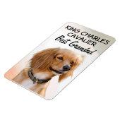 King Charles Cavalier Best Grandad Magnet (Linke Seite)