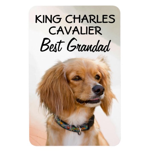 King Charles Cavalier Best Grandad Magnet (Vertikal)