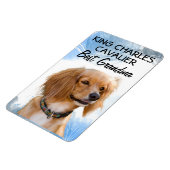 King Charles Cavalier Best Grandma Magnet (Linke Seite)