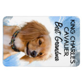 King Charles Cavalier Best Grandma Magnet (Horizontal)