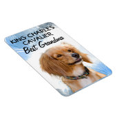 King Charles Cavalier Best Grandma Magnet (Rechte Seite)