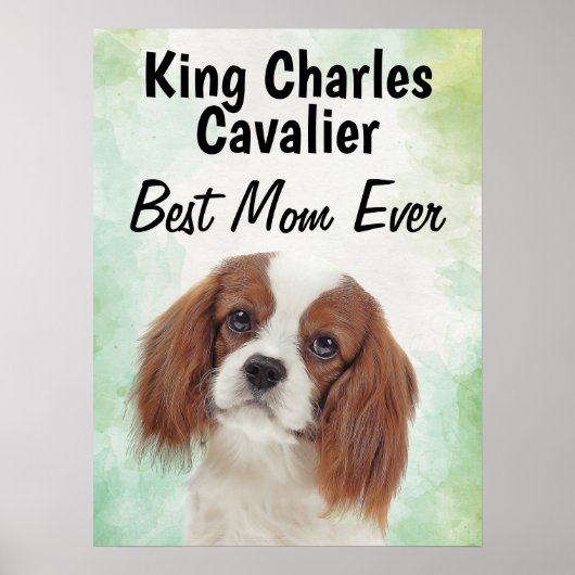 King Charles Cavalier Best Mama Poster (Vorne)