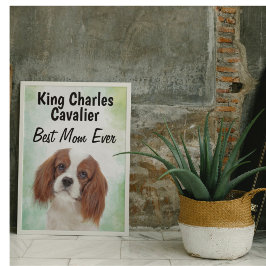 King Charles Cavalier Best Mama Poster