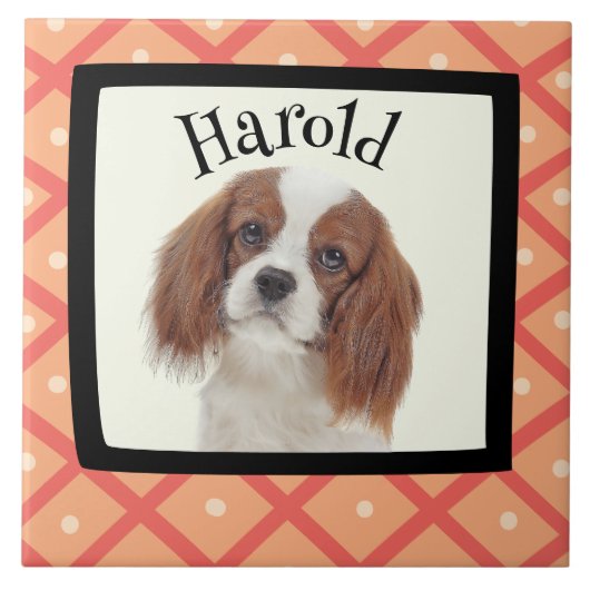King Charles Cavalier - kundenspezifischer Rahmen  Fliese (Vorderseite)