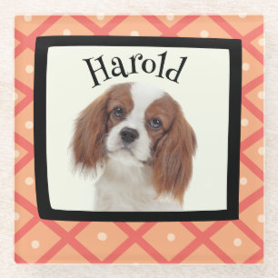 King Charles Cavalier - kundenspezifischer Rahmen Glasuntersetzer