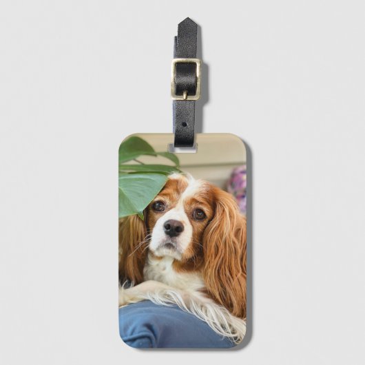 King Charles Cavalier Luggage Tag Gepäckanhänger (Vorderseite Vertikal)