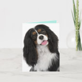 King Charles Cavalier - Note Card Karte (Vorderseite)