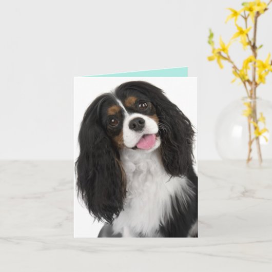 King Charles Cavalier - Note Card Karte (Gelbe Blume)
