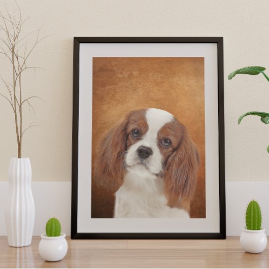 King Charles Cavalier Poster