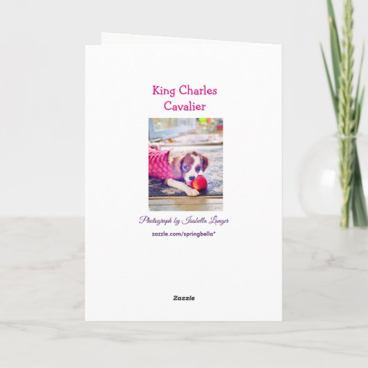 King Charles Cavalier Puppy Blank Grußkarte Karte (Rückseite)