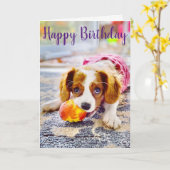 King Charles Cavalier Puppy Grußkarte Karte (Gelbe Blume)