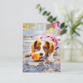 King Charles Cavalier Puppy Postcard Postkarte (Stehend Vorderseite)