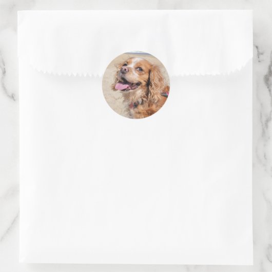 King Charles Cavalier Runder Aufkleber (Tasche)