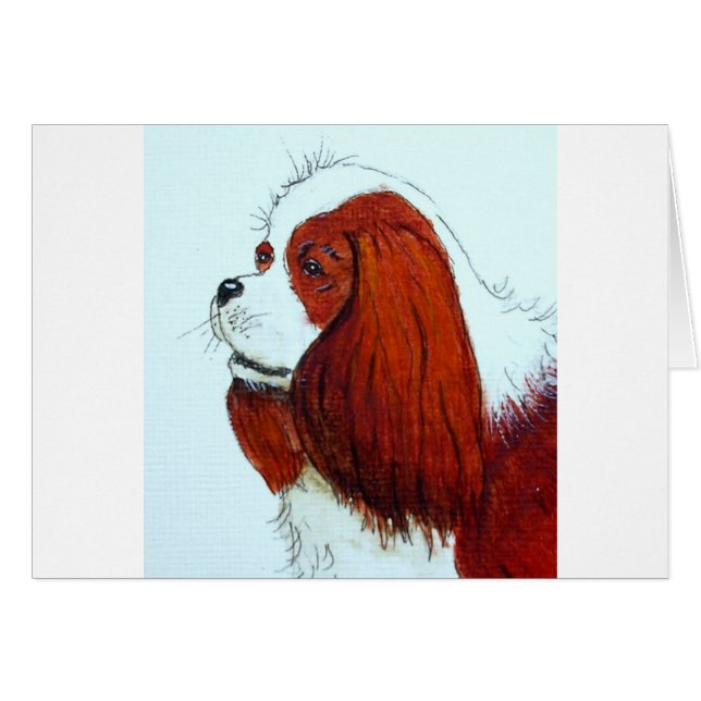 King Charles Cavalier Spaniel (Vorderseite (Horizontal))