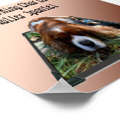 King Charles Cavalier Spaniel, Pop Out Art Poster (Ecke)