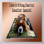 King Charles Cavalier Spaniel, Pop Out Art Poster<br><div class="desc">In einem Popout Art Design ist ein König Charles Cavalier Spaniel,  mit den Worten,  Liebe ist ein Cavalier Spaniel</div>