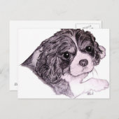 King Charles Cavalier Spaniel Postcard Postkarte (Vorne/Hinten)