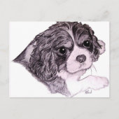 King Charles Cavalier Spaniel Postcard Postkarte (Vorderseite)