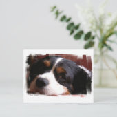 King Charles Cavalier Spaniel Postcard Postkarte (Stehend Vorderseite)