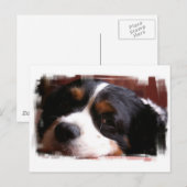 King Charles Cavalier Spaniel Postcard Postkarte (Vorne/Hinten)