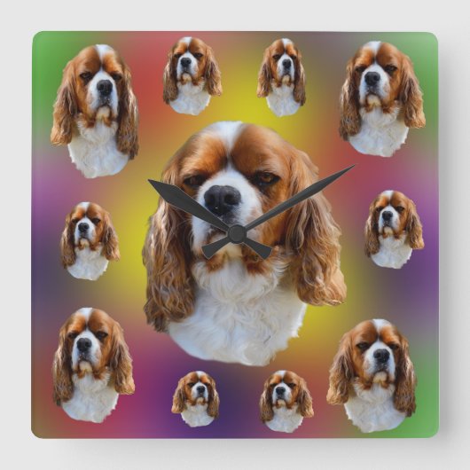 King Charles Cavalier Spaniel, Quadratische Wanduhr (Vorderseite)