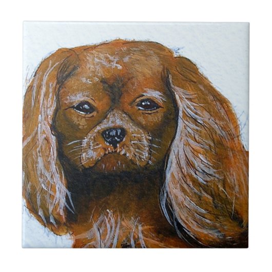 King Charles Cavalier Spaniel Red Fliese (Vorderseite)