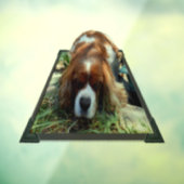 King Charles Cavalier Spaniel, Window Cling Fensteraufkleber (Blatt 3)