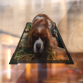King Charles Cavalier Spaniel, Window Cling Fensteraufkleber (Blatt 2)