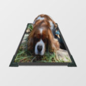 King Charles Cavalier Spaniel, Window Cling Fensteraufkleber (Blatt)