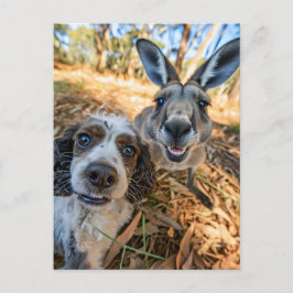King Charles Cocker Spaniel Takes Selfies Across t Feiertagspostkarte