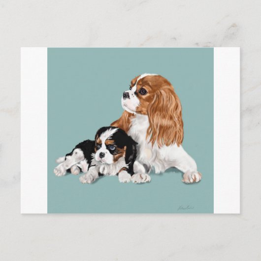 King Charles Postkarte (Vorderseite)